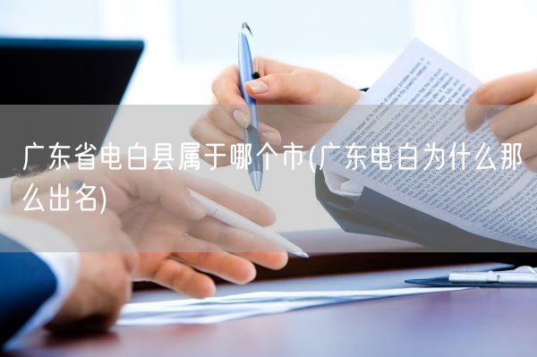 广东省电白县属于哪个市(广东电白为什么那么出名)(图1)