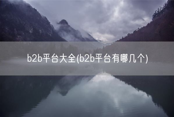 b2b平台大全(b2b平台有哪几个)(图1)