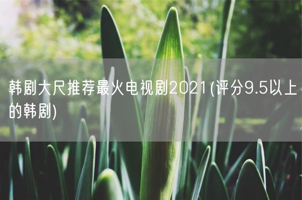 韩剧大尺推荐最火电视剧2021(评分9.5以上的韩剧)(图1)