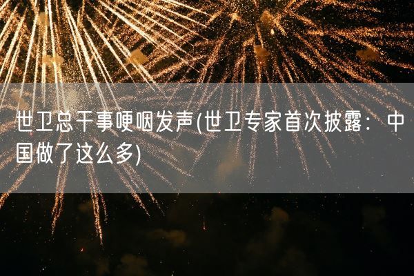 世卫总干事哽咽发声(世卫专家首次披露：中国做了这么多)(图1)