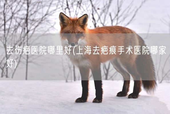 去伤疤医院哪里好(上海去疤痕手术医院哪家好)(图1)
