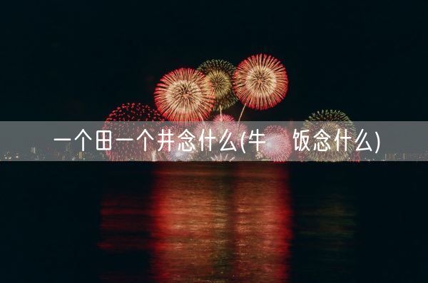 一个田一个井念什么(牛丼饭念什么)(图1)