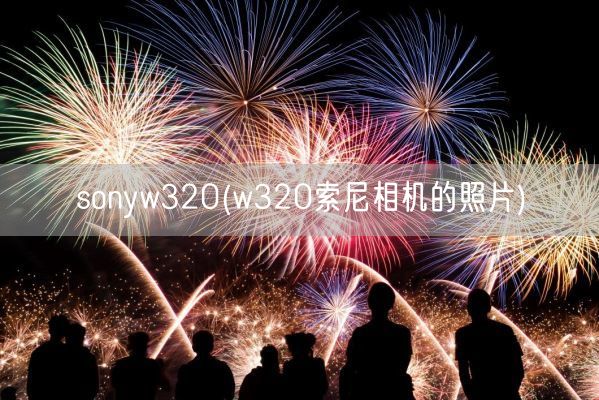 sonyw320(w320索尼相机的照片)(图1)