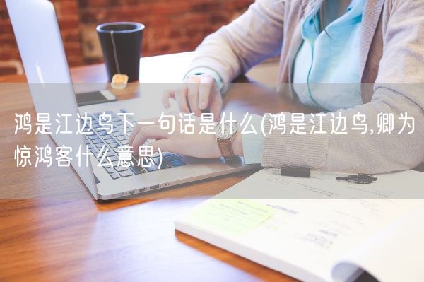 鸿是江边鸟下一句话是什么(鸿是江边鸟,卿为惊鸿客什么意思)(图1)