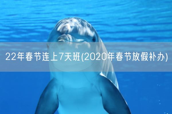 22年春节连上7天班(2020年春节放假补办)(图1)