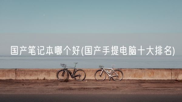 国产笔记本哪个好(国产手提电脑十大排名)(图1) 国产笔记本哪个好(国产手提电脑十大排名)(图1)
