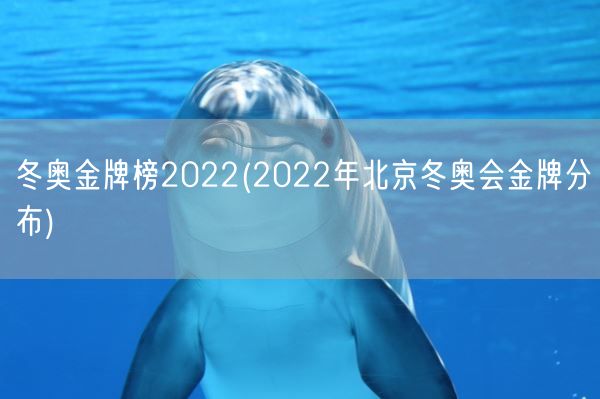 冬奥金牌榜2022(2022年北京冬奥会金牌分布)(图1)