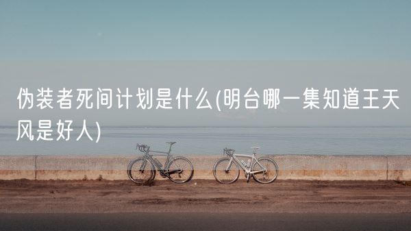 伪装者死间计划是什么(明台哪一集知道王天风是好人)(图1) 伪装者死间计划是什么(明台哪一集知道王天风是好人)(图1)