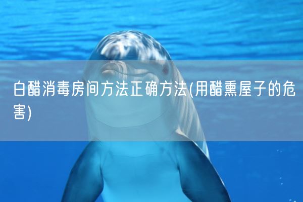 白醋消毒房间方法正确方法(用醋熏屋子的危害)(图1) 白醋消毒房间方法正确方法(用醋熏屋子的危害)(图1)