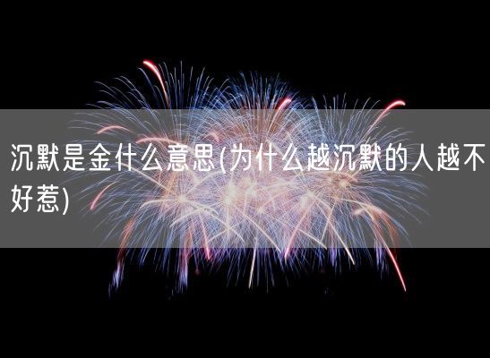 沉默是金什么意思(为什么越沉默的人越不好惹)(图1)