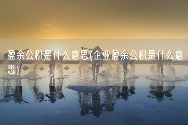 盈余公积是什么意思(企业盈余公积是什么意思)(图1)