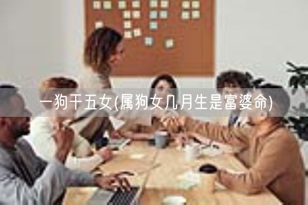 一狗干五女(属狗女几月生是富婆命)(图1) 一狗干五女(属狗女几月生是富婆命)(图1)
