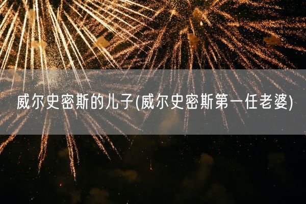 威尔史密斯的儿子(威尔史密斯第一任老婆)(图1) 威尔史密斯的儿子(威尔史密斯第一任老婆)(图1)