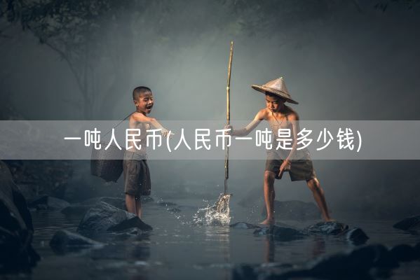 一吨人民币(人民币一吨是多少钱)(图1)