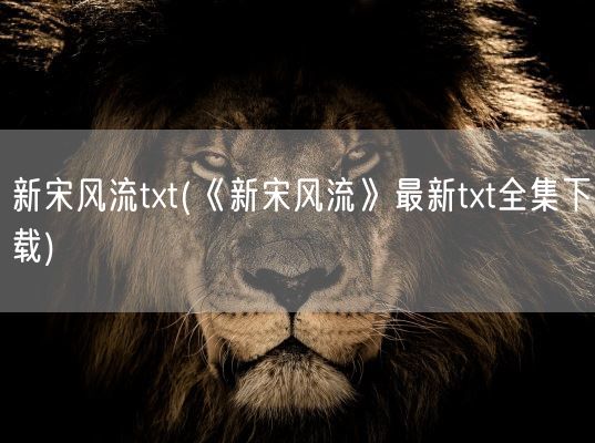 新宋风流txt(《新宋风流》最新txt全集下载)(图1) 新宋风流txt(《新宋风流》最新txt全集下载)(图1)