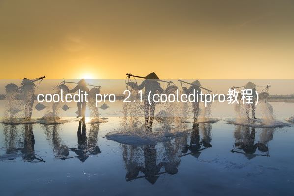 cooledit pro 2.1(cooleditpro教程)(图1)