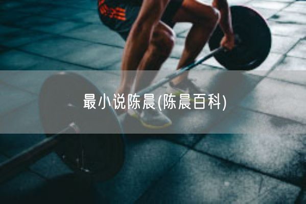 最小说陈晨(陈晨百科)(图1)