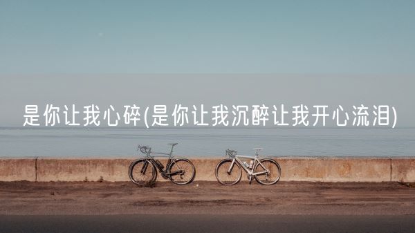 是你让我心碎(是你让我沉醉让我开心流泪)(图1)