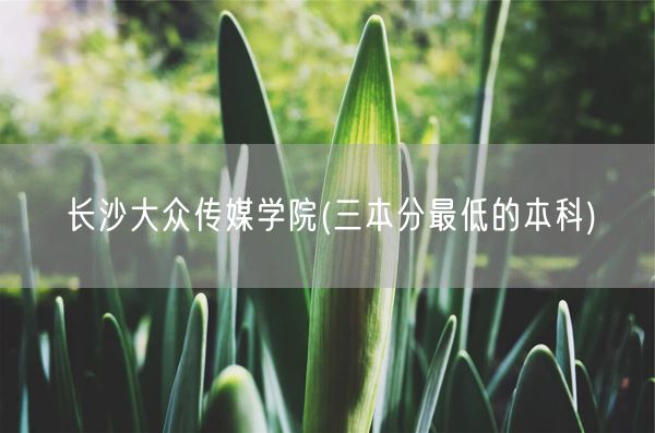 长沙大众传媒学院(三本分最低的本科)(图1)