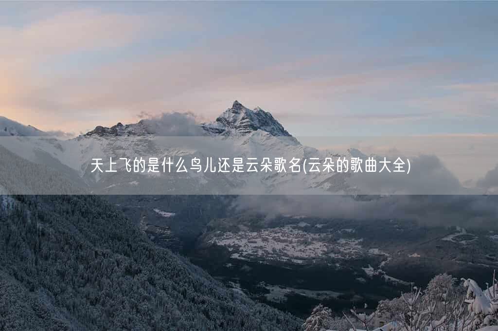 天上飞的是什么鸟儿还是云朵歌名(云朵的歌曲大全)(图1)