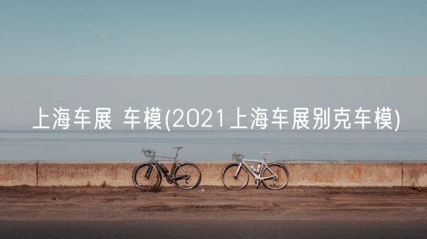 上海车展 车模(2021上海车展别克车模)(图1)