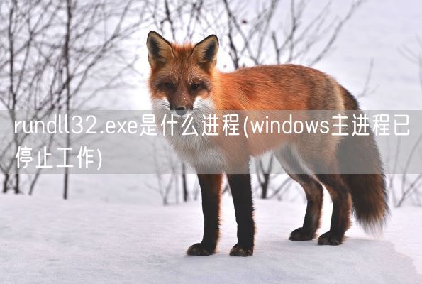 rundll32.exe是什么进程(windows主进程已停止工作)(图1)
