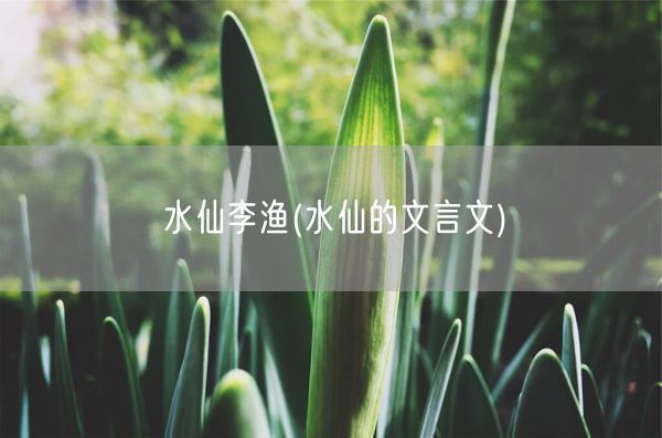 水仙李渔(水仙的文言文)(图1)