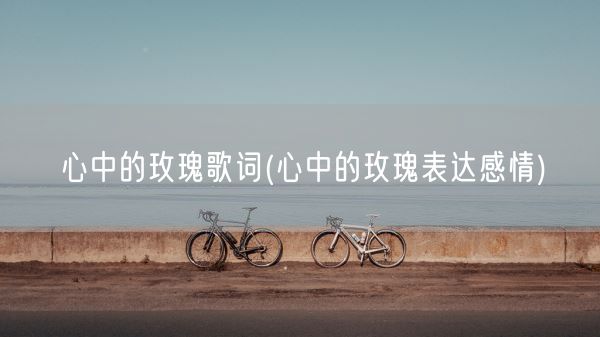 心中的玫瑰歌词(心中的玫瑰表达感情)(图1)