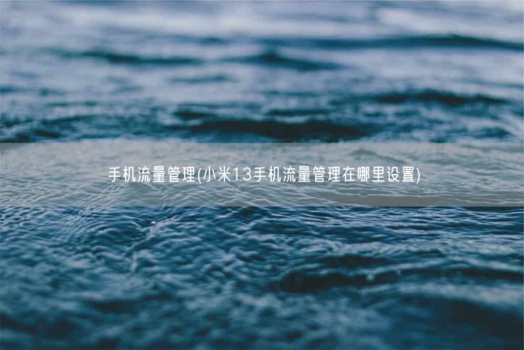 手机流量管理(小米13手机流量管理在哪里设置)(图1)