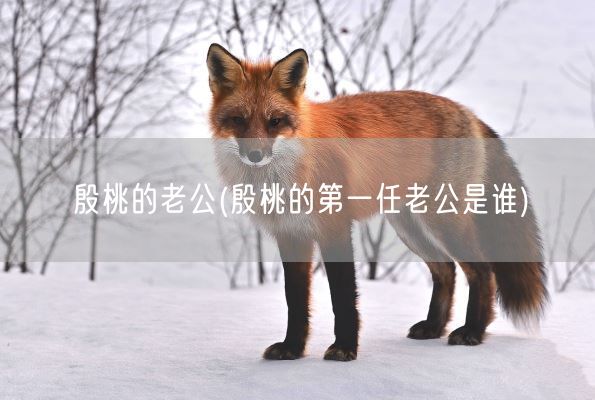 殷桃的老公(殷桃的第一任老公是谁)(图1)