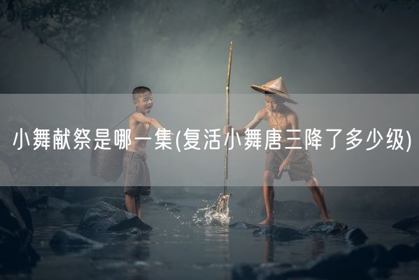 小舞献祭是哪一集(复活小舞唐三降了多少级)(图1)