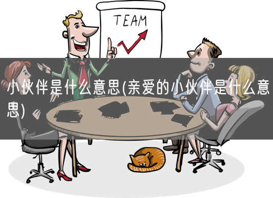 小伙伴是什么意思(亲爱的小伙伴是什么意思)(图1)