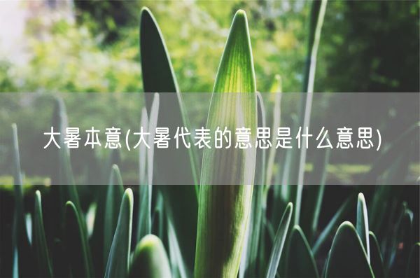 大暑本意(大暑代表的意思是什么意思)(图1)