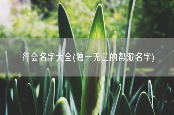 行会名字大全(独一无二的帮派名字)(图1)