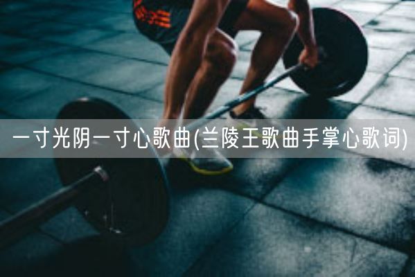 一寸光阴一寸心歌曲(兰陵王歌曲手掌心歌词)(图1)