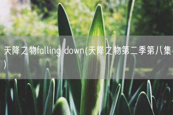 天降之物falling down(天降之物第二季第八集)(图1)