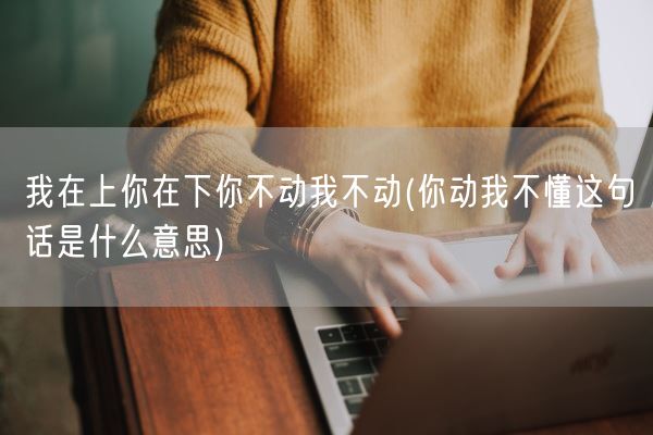 我在上你在下你不动我不动(你动我不懂这句话是什么意思)(图1)