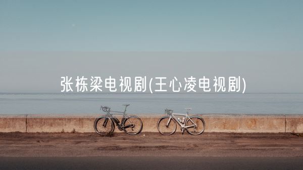 张栋梁电视剧(王心凌电视剧)(图1) 张栋梁电视剧(王心凌电视剧)(图1)