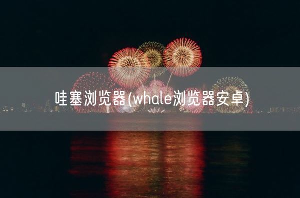 哇塞浏览器(whale浏览器安卓)(图1)