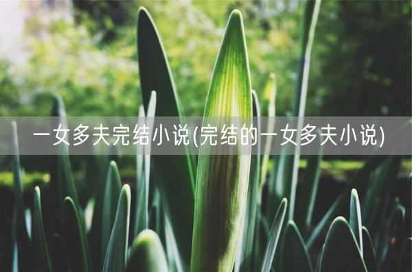 一女多夫完结小说(完结的一女多夫小说)(图1)