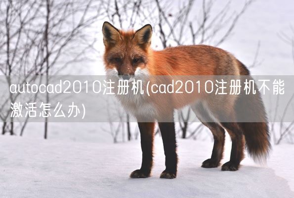 autocad2010注册机(cad2010注册机不能激活怎么办)(图1) autocad2010注册机(cad2010注册机不能激活怎么办)(图1)