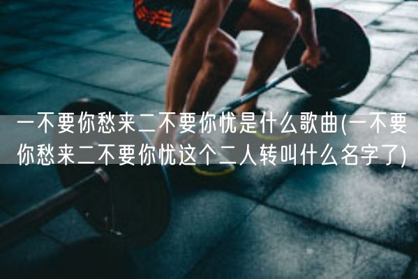 一不要你愁来二不要你忧是什么歌曲(一不要你愁来二不要你忧这个二人转叫什么名字了)(图1)