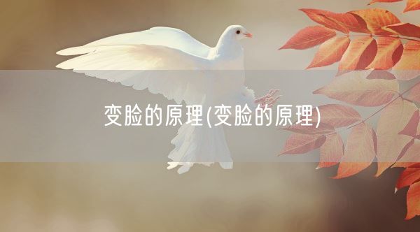 变脸的原理(变脸的原理)(图1) 变脸的原理(变脸的原理)(图1)