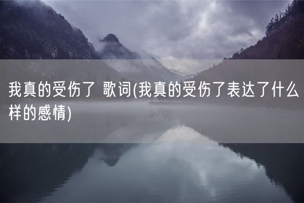 我真的受伤了 歌词(我真的受伤了表达了什么样的感情)(图1)