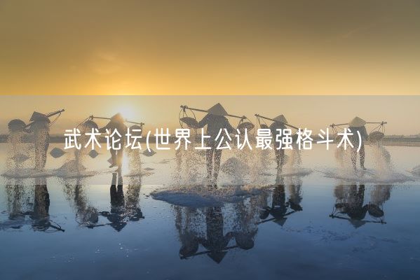 武术论坛(世界上公认最强格斗术)(图1) 武术论坛(世界上公认最强格斗术)(图1)