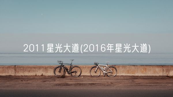 2011星光大道(2016年星光大道)(图1)