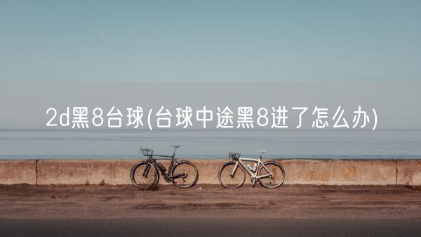 2d黑8台球(台球中途黑8进了怎么办)(图1)