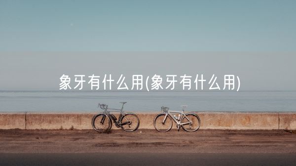 象牙有什么用(象牙有什么用)(图1)