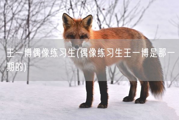 王一博偶像练习生(偶像练习生王一博是那一期的)(图1)