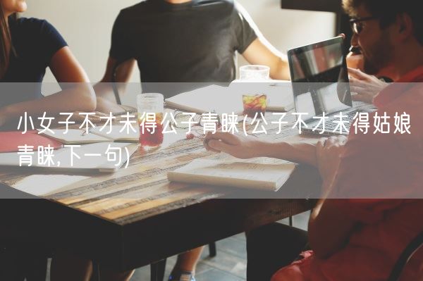 小女子不才未得公子青睐(公子不才未得姑娘青睐,下一句)(图1)
